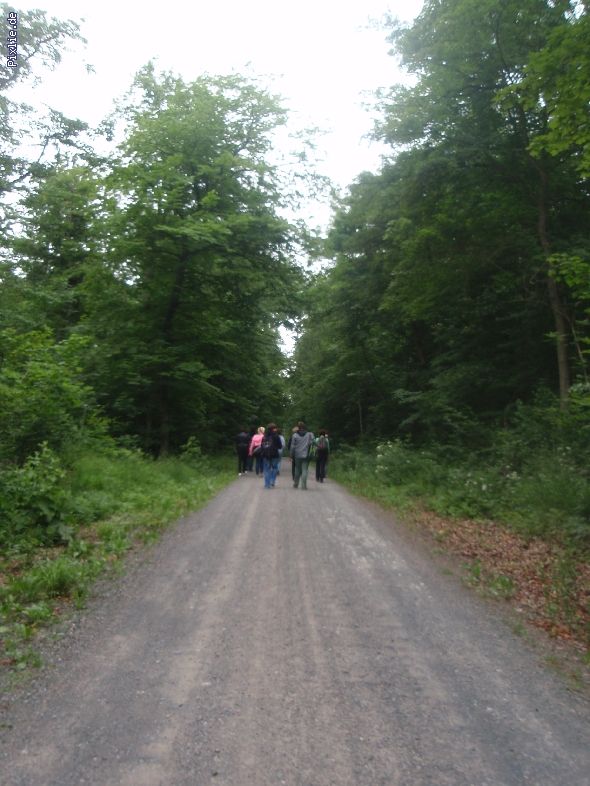 http://www.beruflichesgymnasium.de/pixlie/cache/vs_Kletterwald Possen 2013_P1010066.JPG